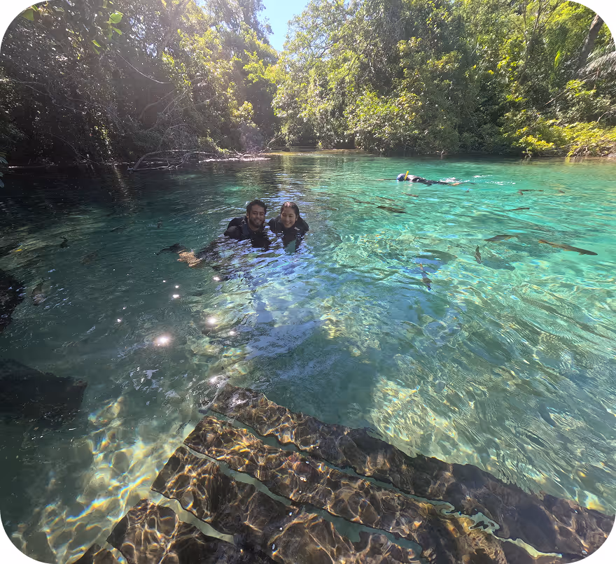 Passeios imperdíveis em Bonito